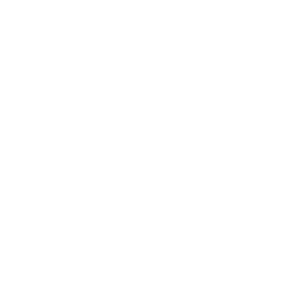 EVO_2.png